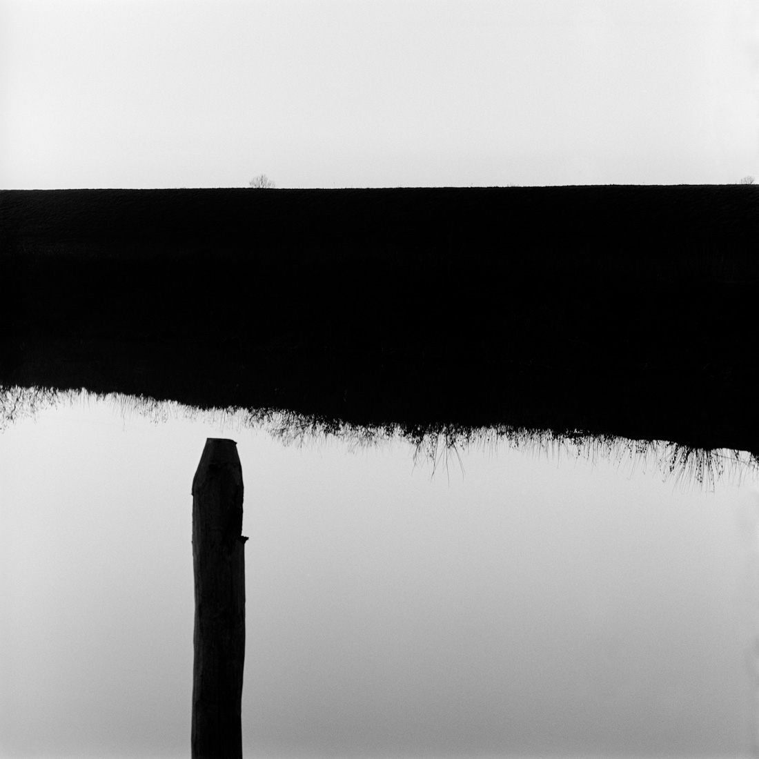 Where the Riverbank Weeps