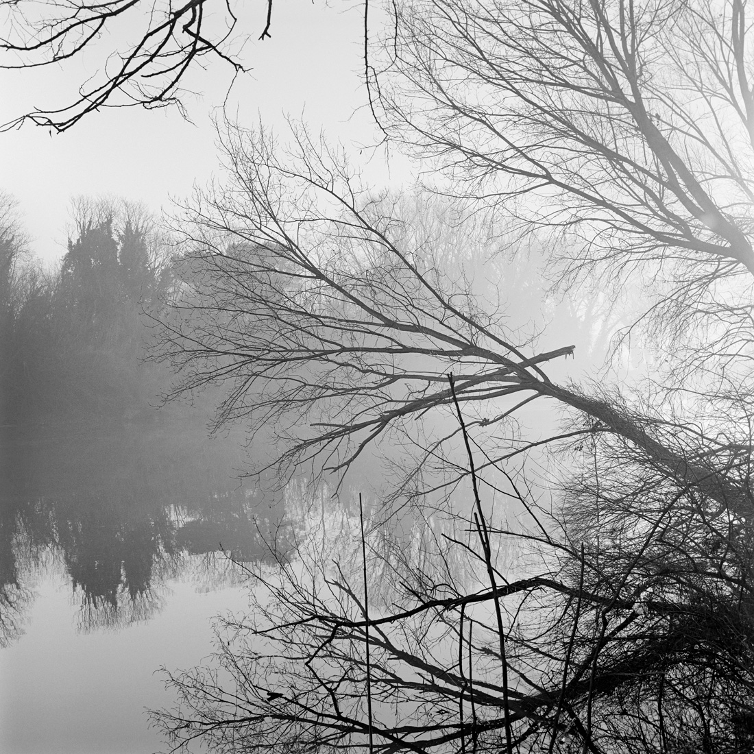 Where the Riverbank Weeps