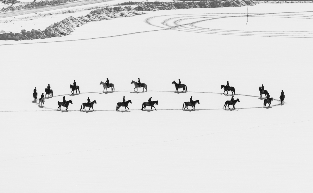 Geometric art by horses