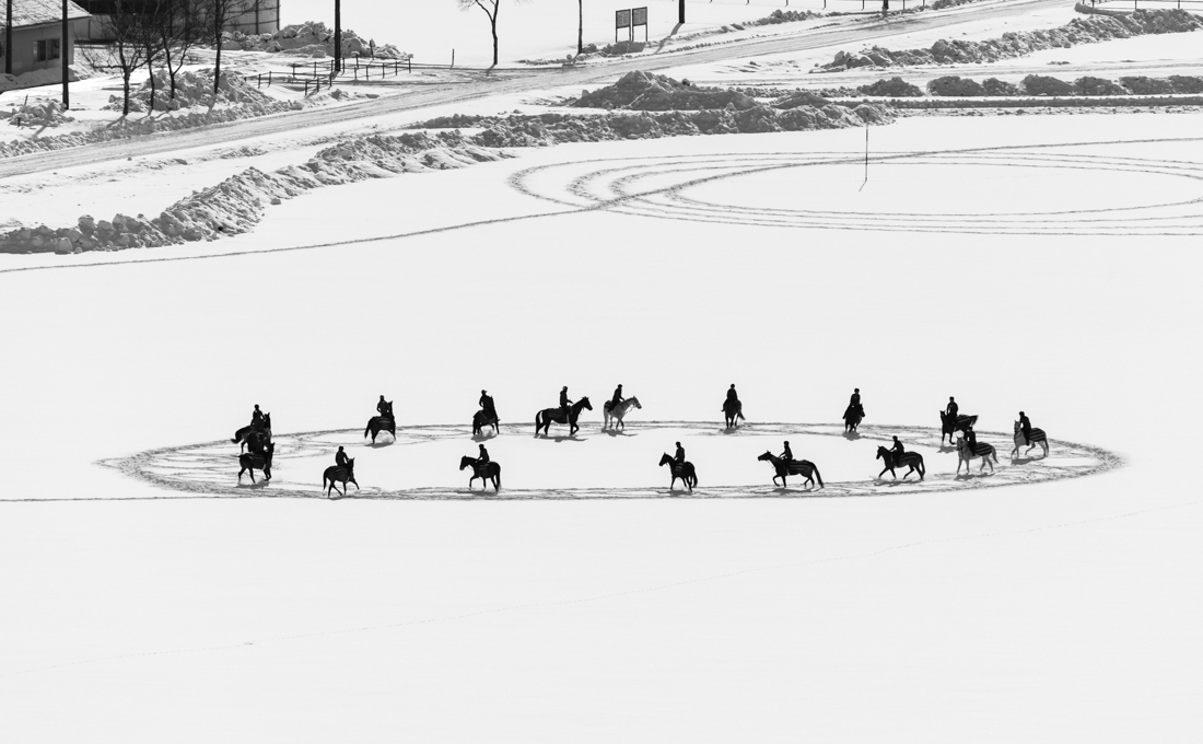 Geometric art by horses