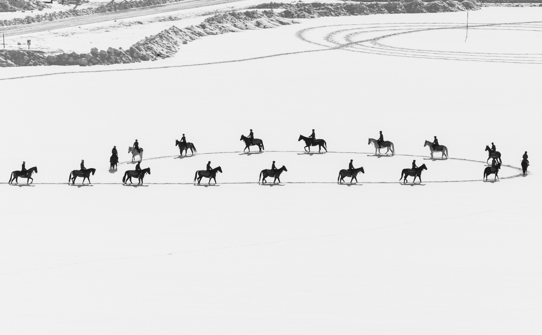 Geometric art by horses