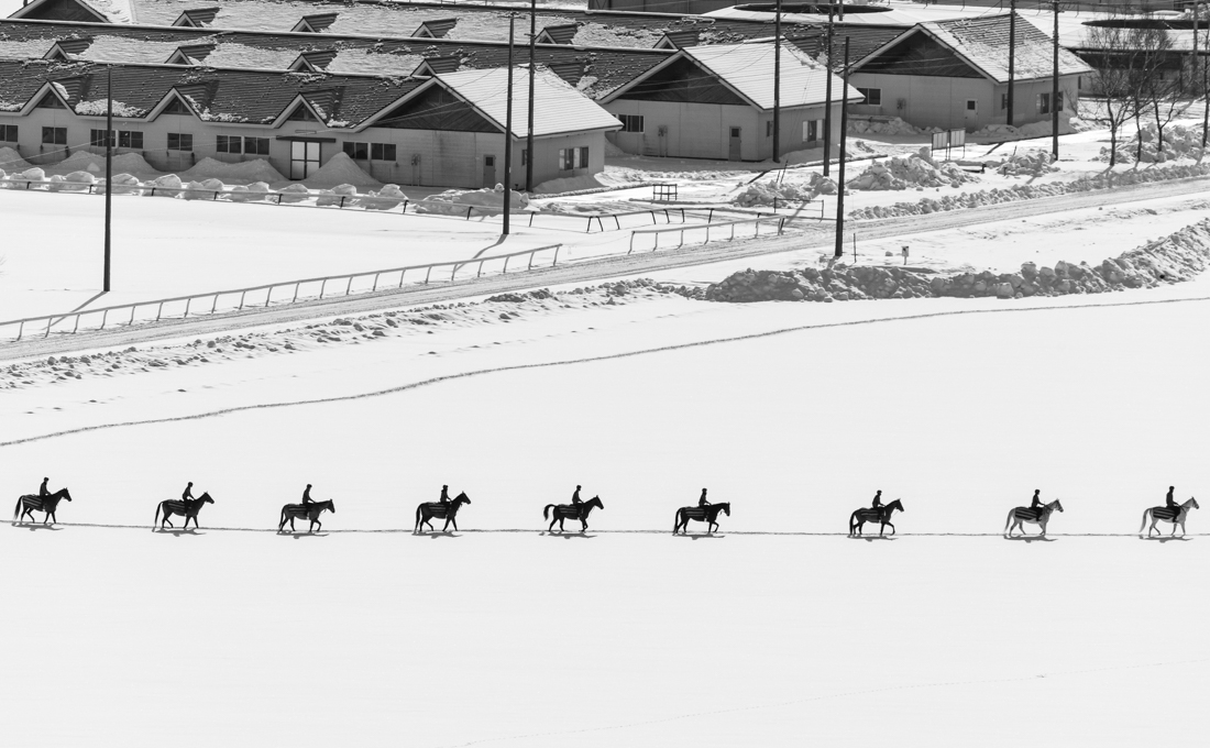 Geometric art by horses