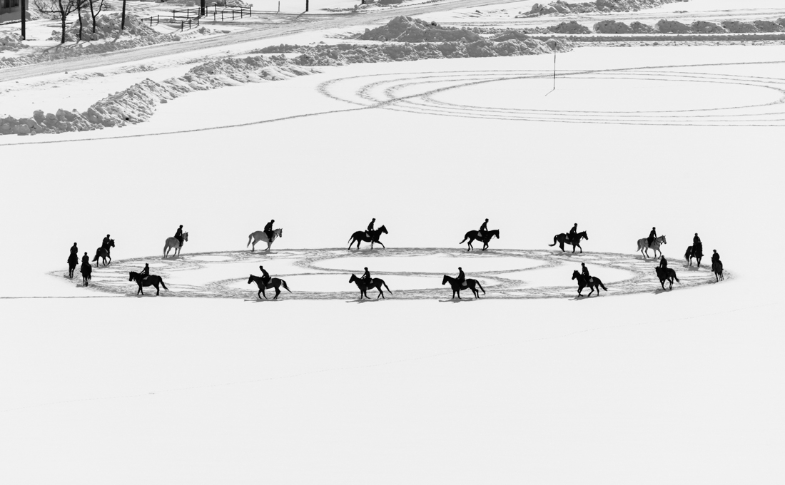 Geometric art by horses