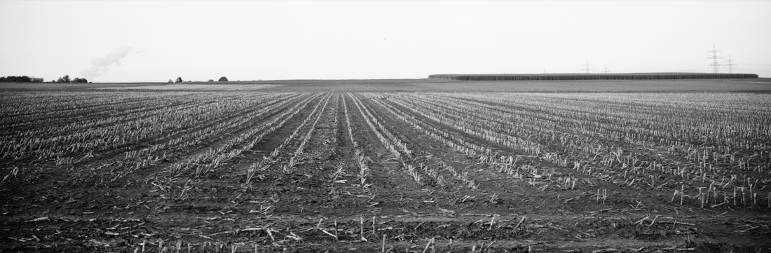 broad land