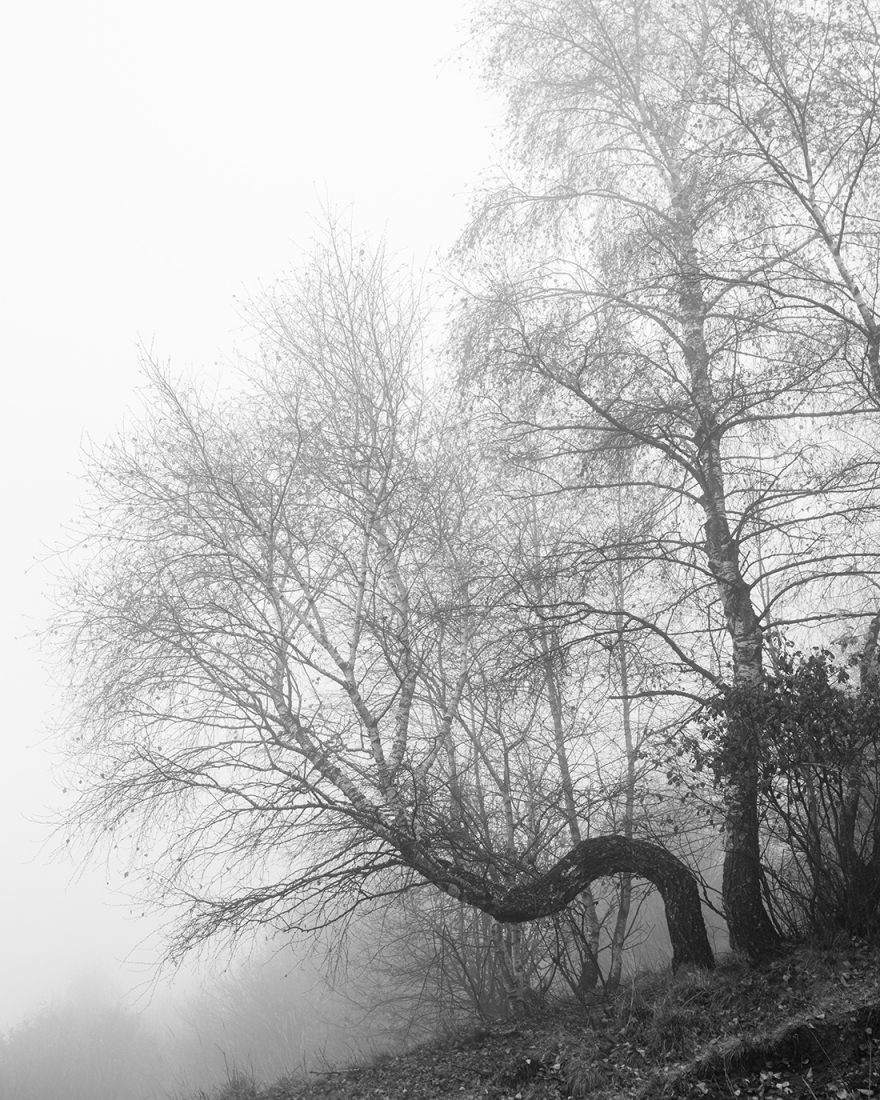 On The Crest Of A Mountain, Behind The Clouds