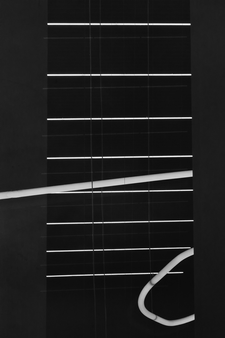 The lights