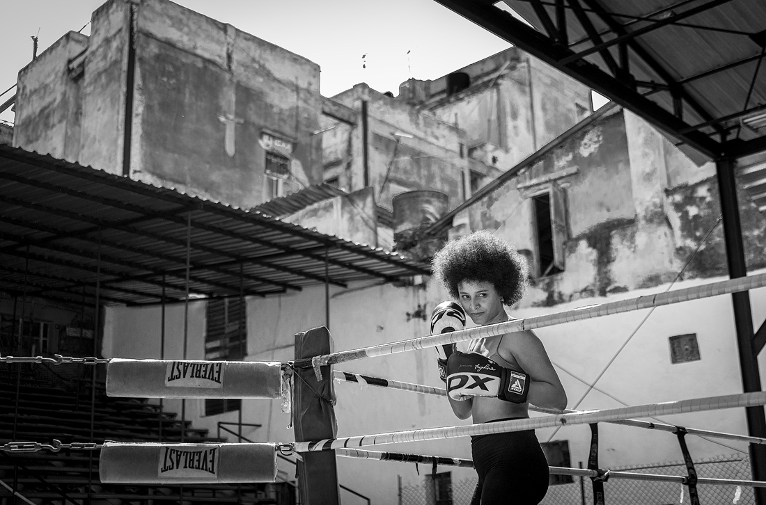 Cuba Boxers 
