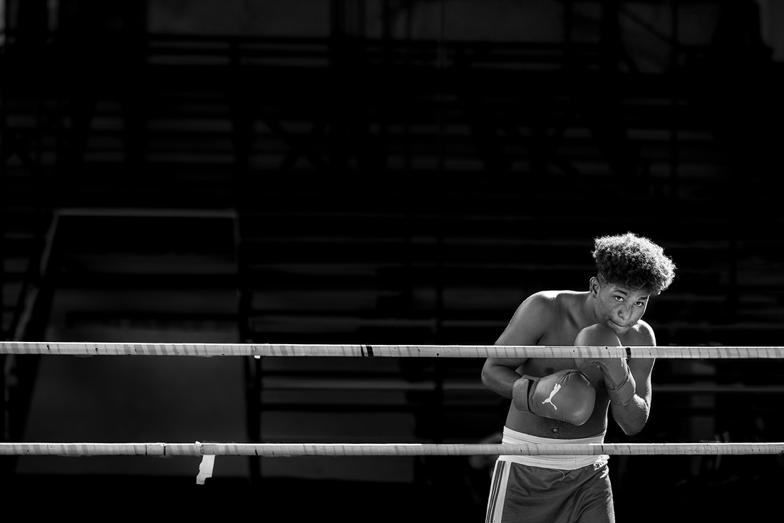 Cuba Boxers 