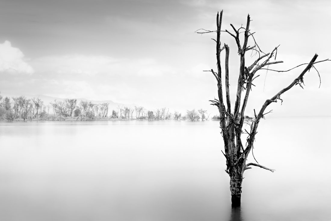 Beautiful even in Death