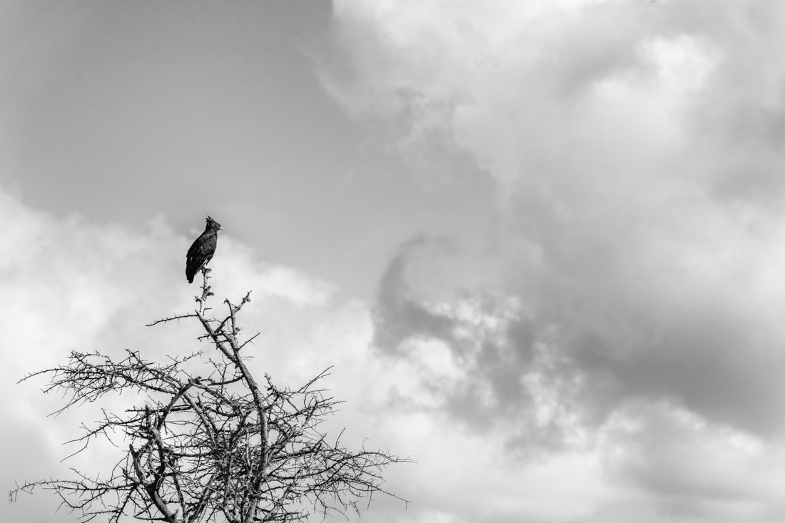 Beautiful even in Death