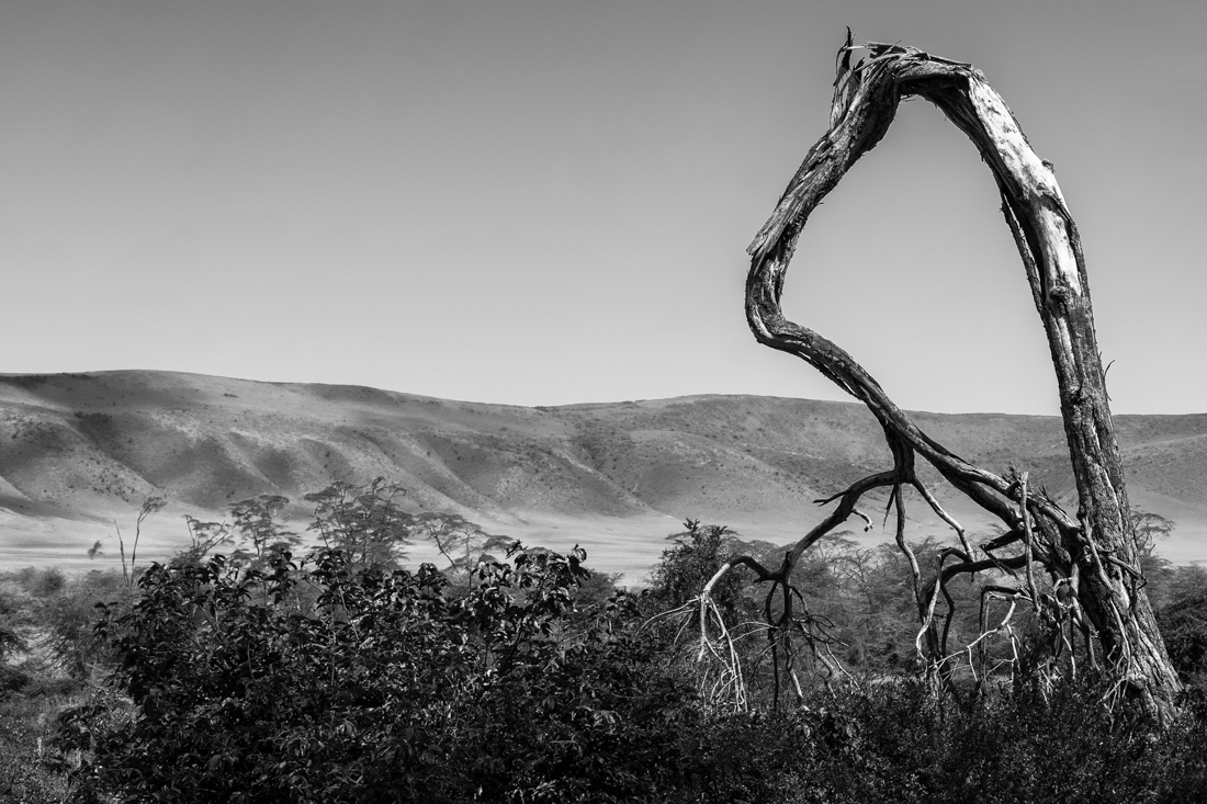 Beautiful even in Death