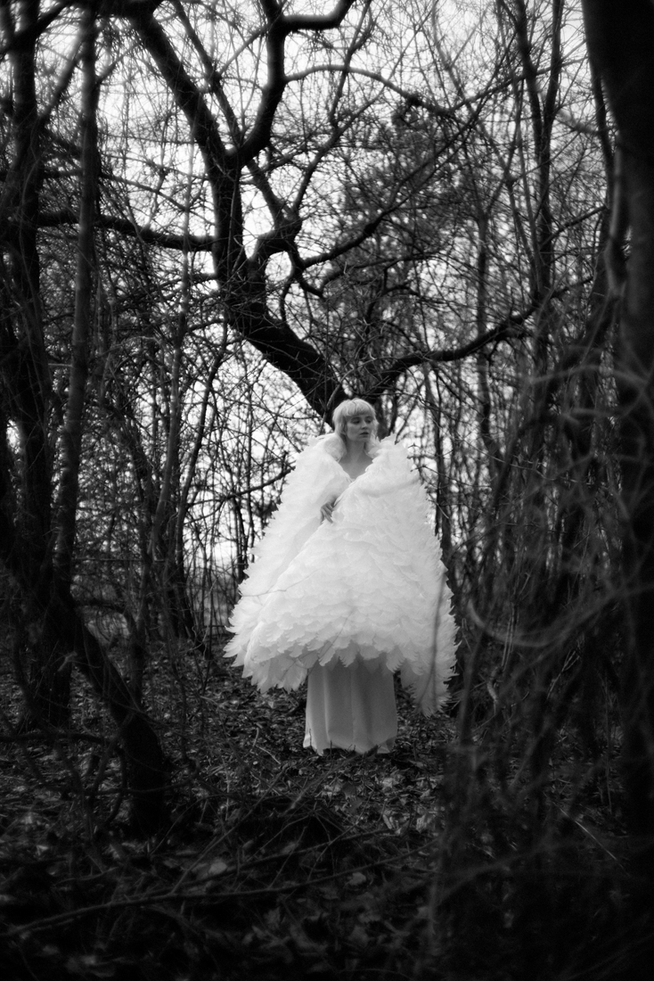 Fallen Angel