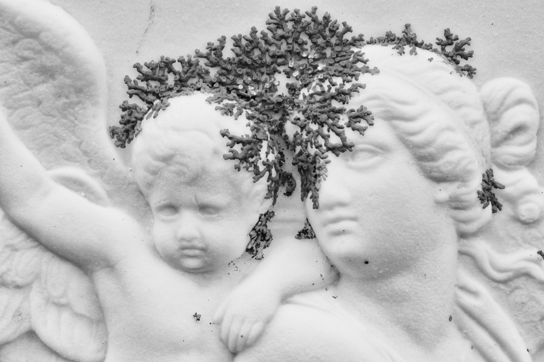 Nature on culture