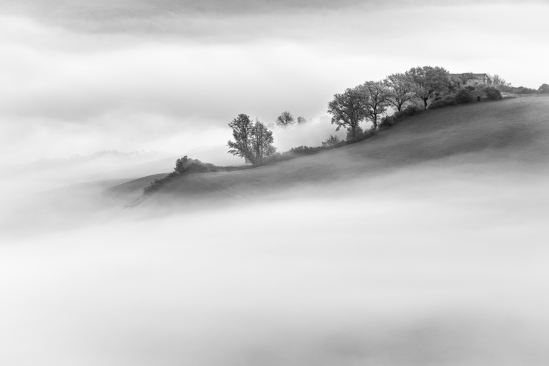 Fog