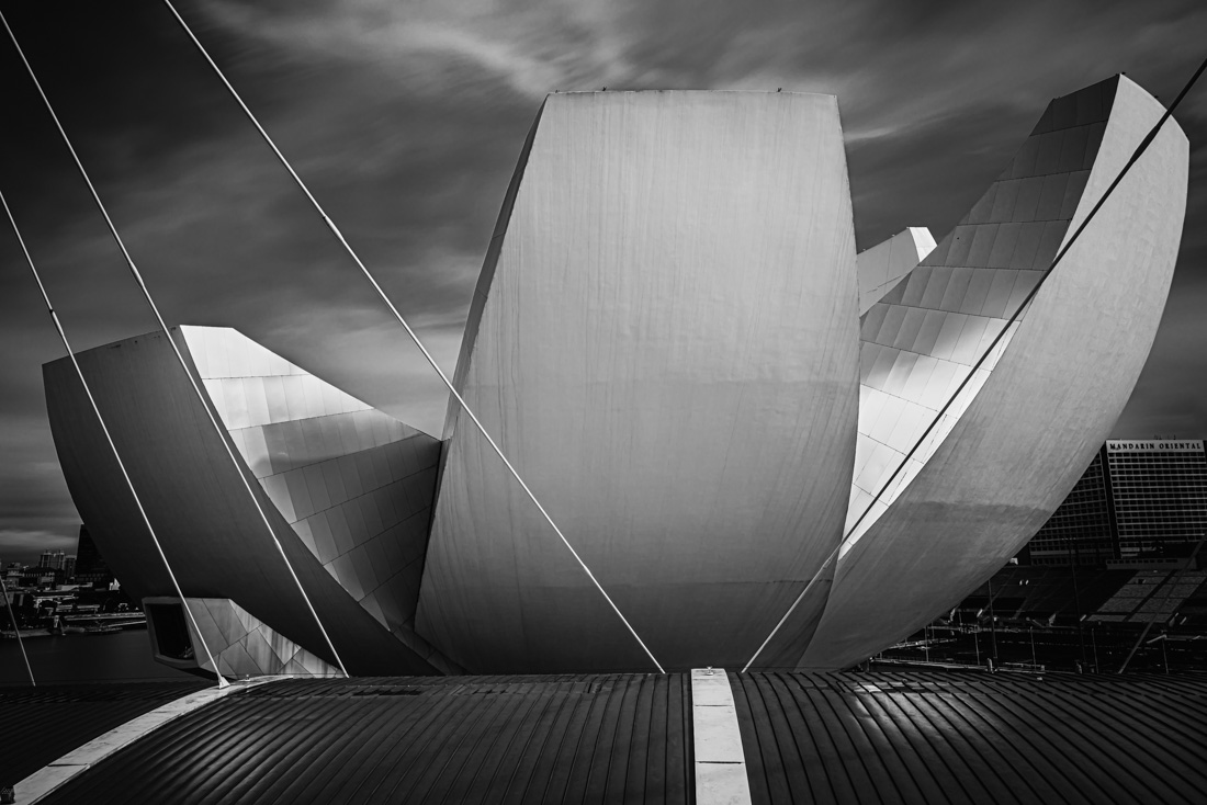 ArtScience Museum-Lotus Flower