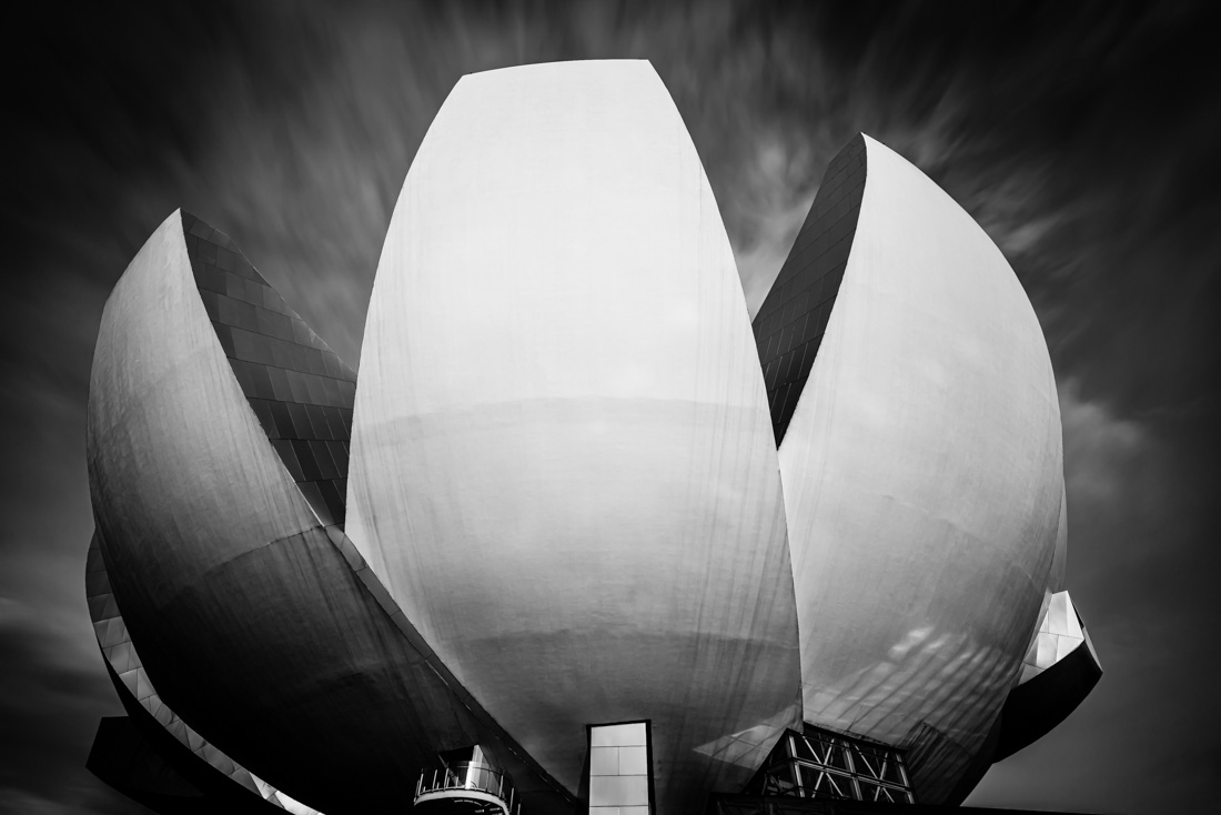 ArtScience Museum-Lotus Flower