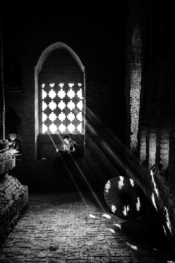 Novices with Rays of Sunlight_II
