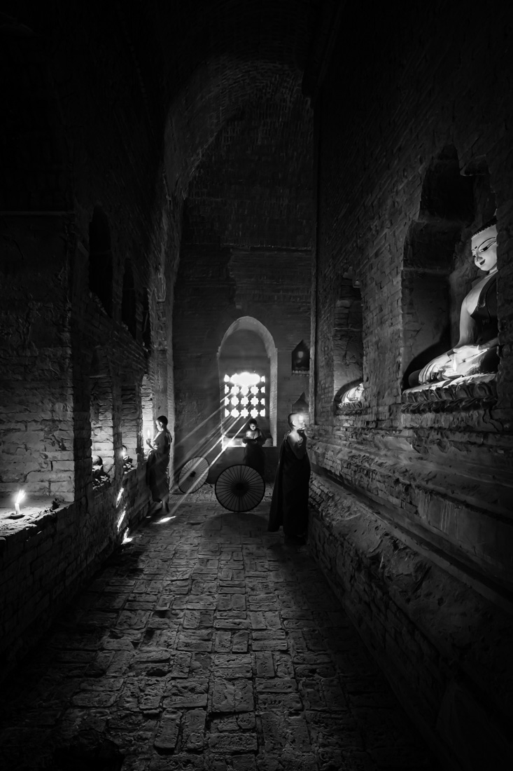Novices with Rays of Sunlight_II