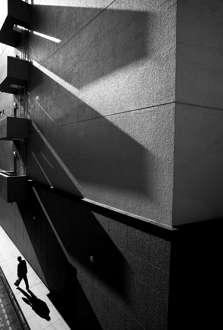 Shadow wing