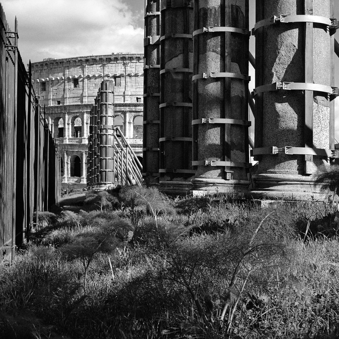 Rome in a cage