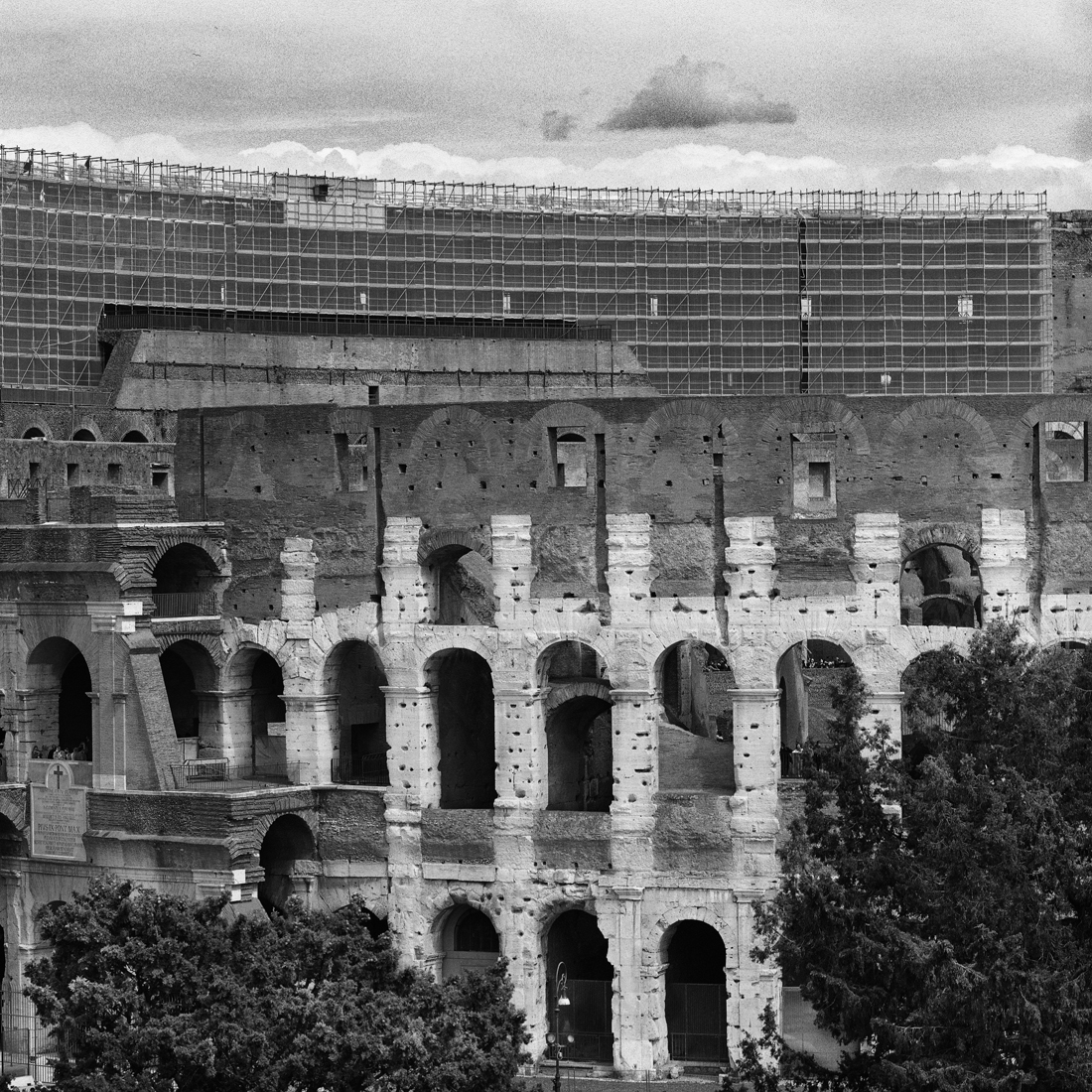 Rome in a cage