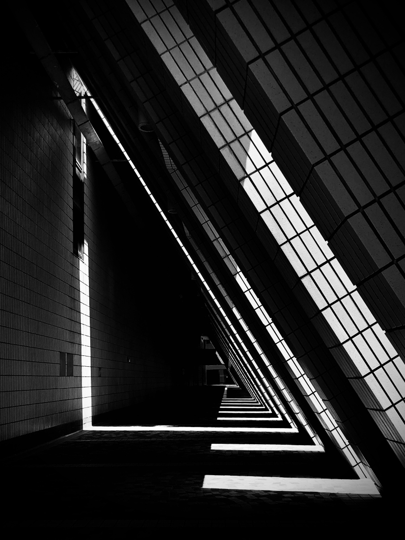 Trapped In Time