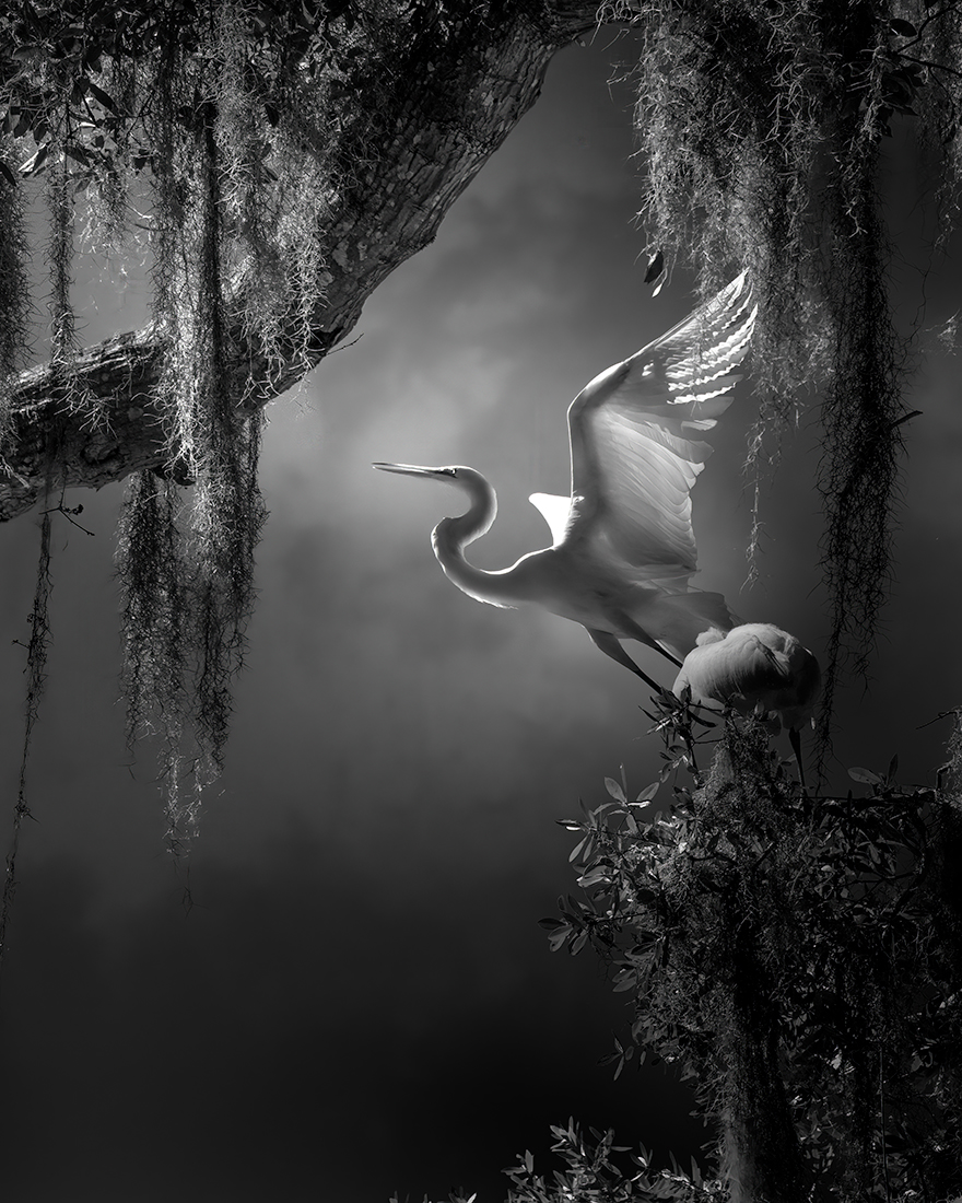 Secret Garden 
