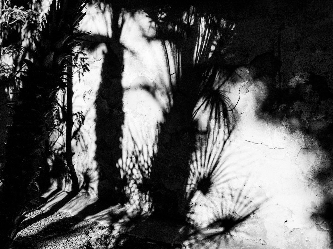 Of Lights and Shadows
