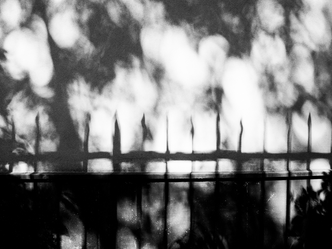 Of Lights and Shadows