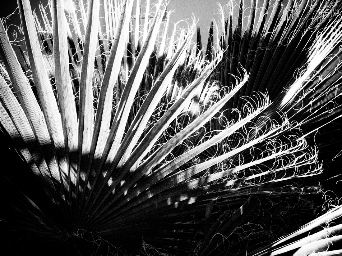 Of Lights and Shadows