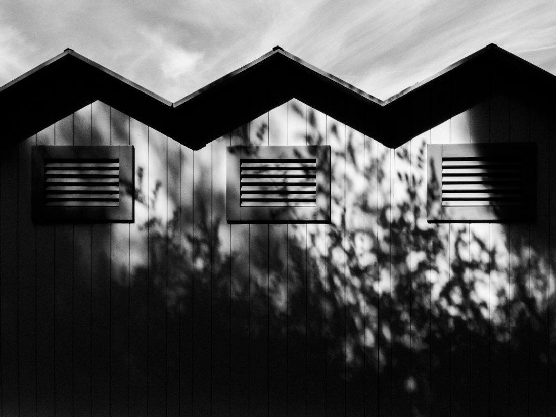 Of Lights and Shadows