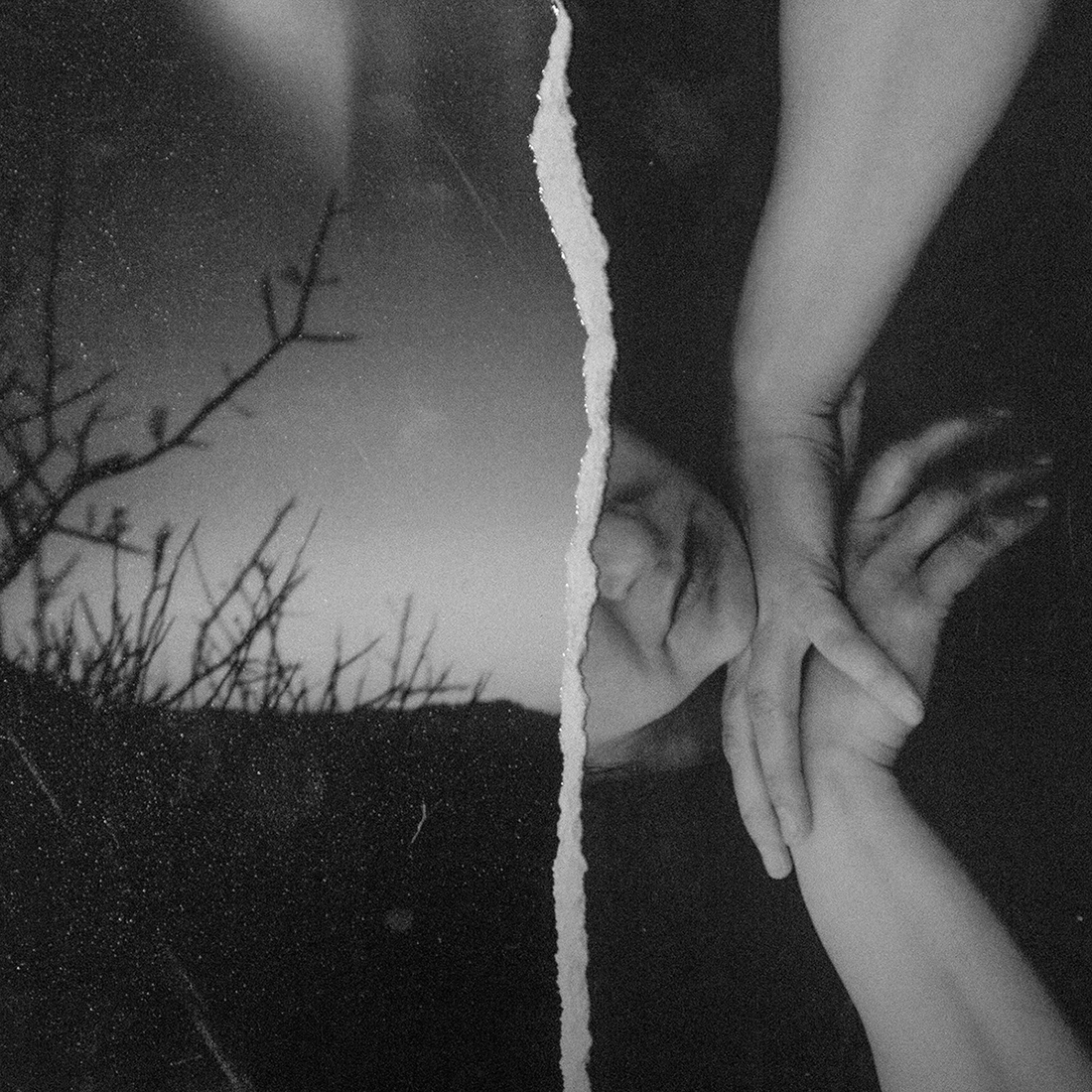 Torn