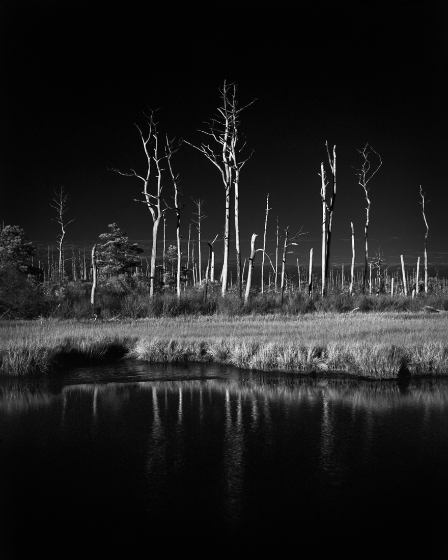 Skeletons in the Wind