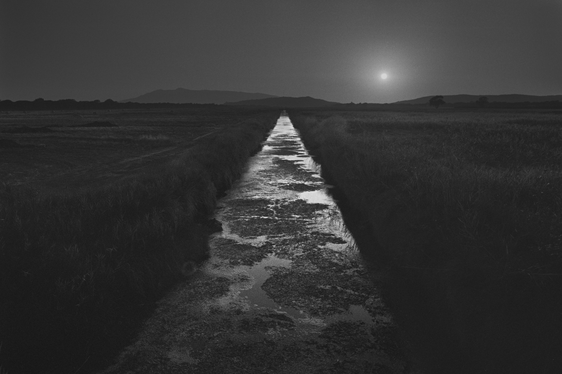Landscapes in black and white