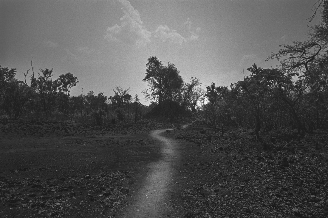 Landscapes in black and white