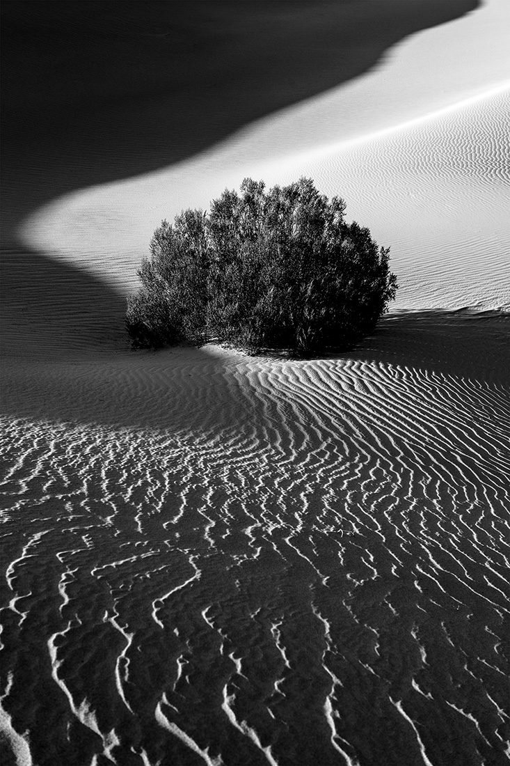 Mesquite Flat Shadows