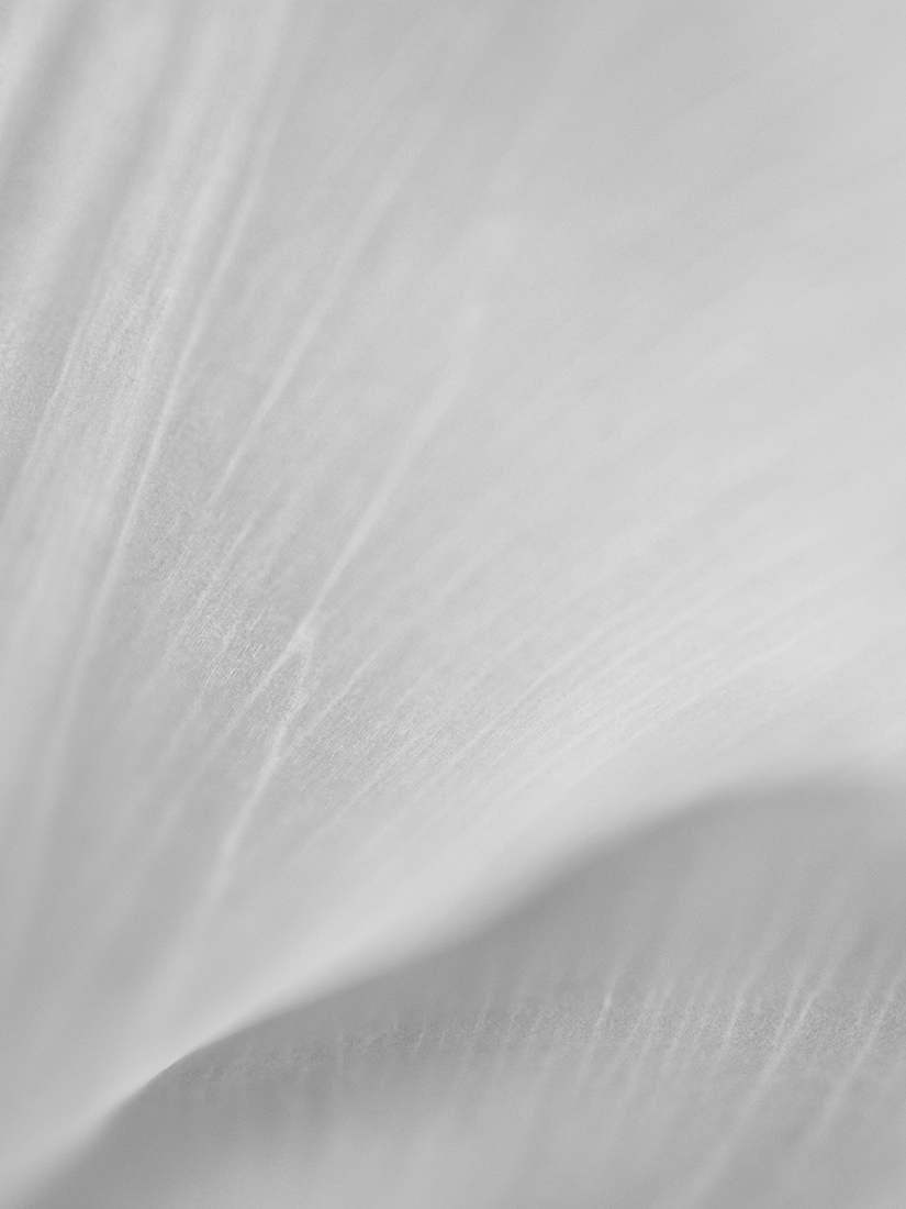 Anatomy of softness