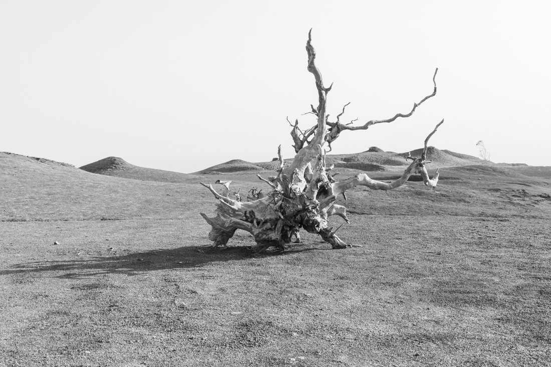 Landscapes of Erosion