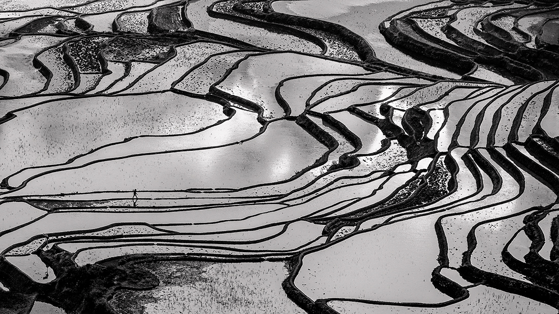 Terraced Field 
