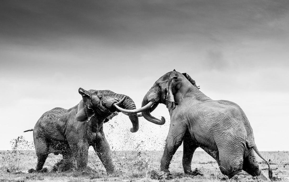 Nomads