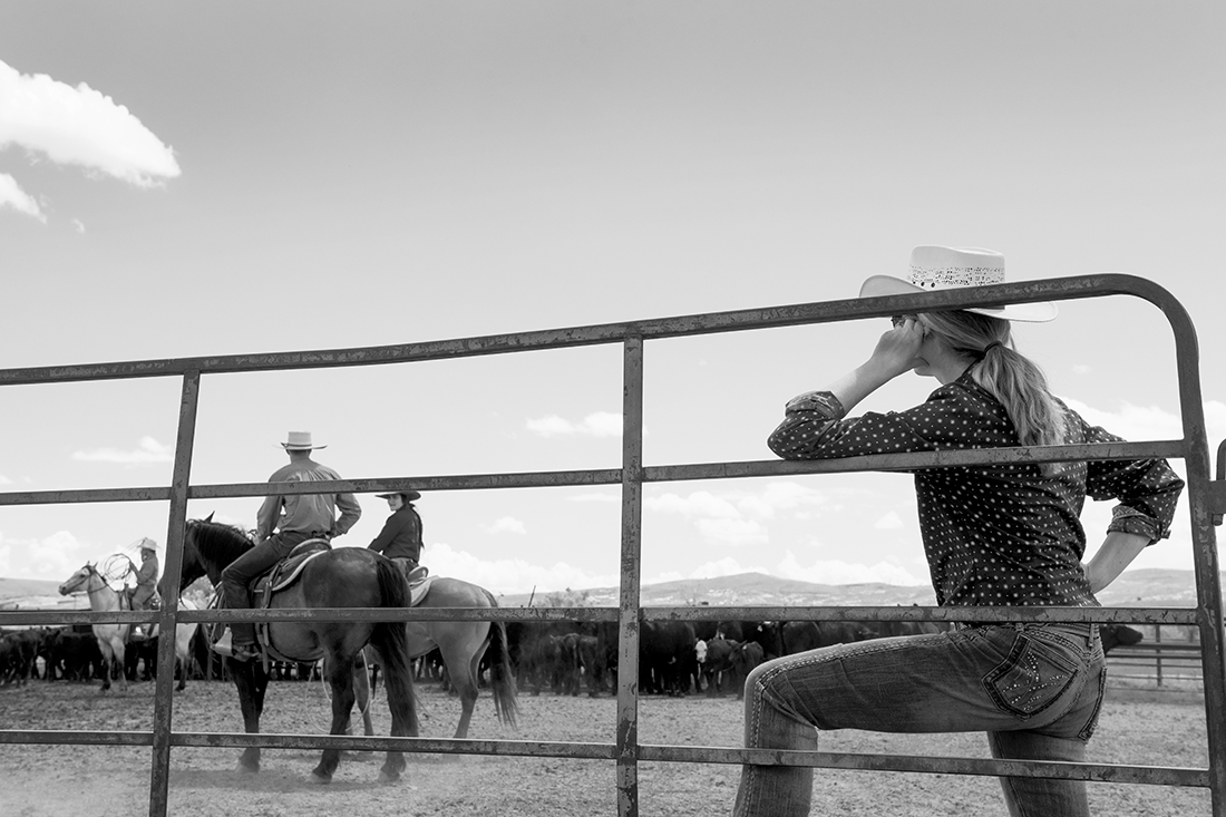 Wyoming and Montana Cowgirls