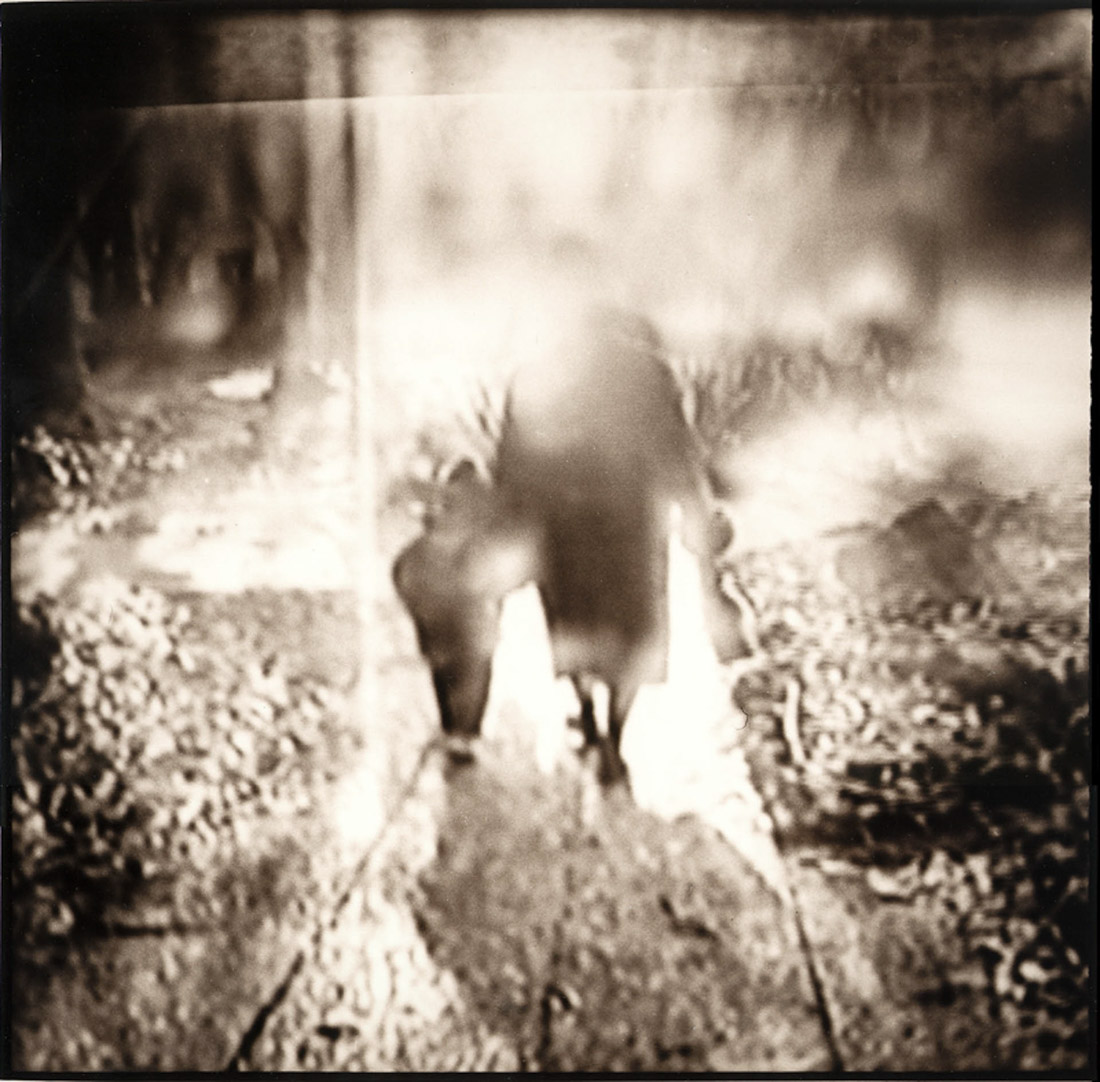 VISUAL THRESHOLDS