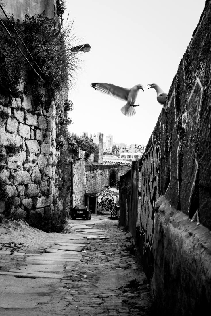 Porto