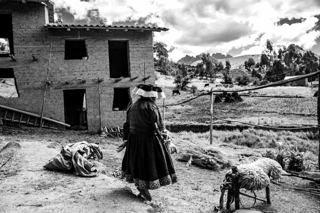 Familia Amaru (Peruvian Andes - 2021 )