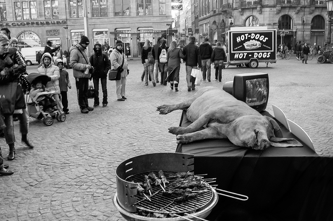 Animal Cruelty Protest