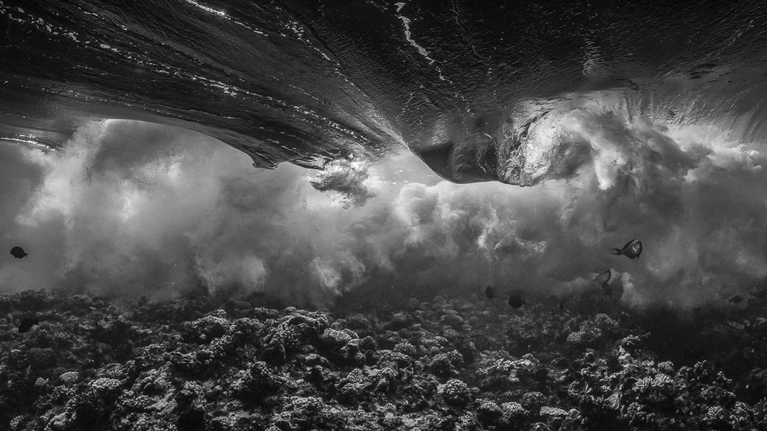 Inside the wave