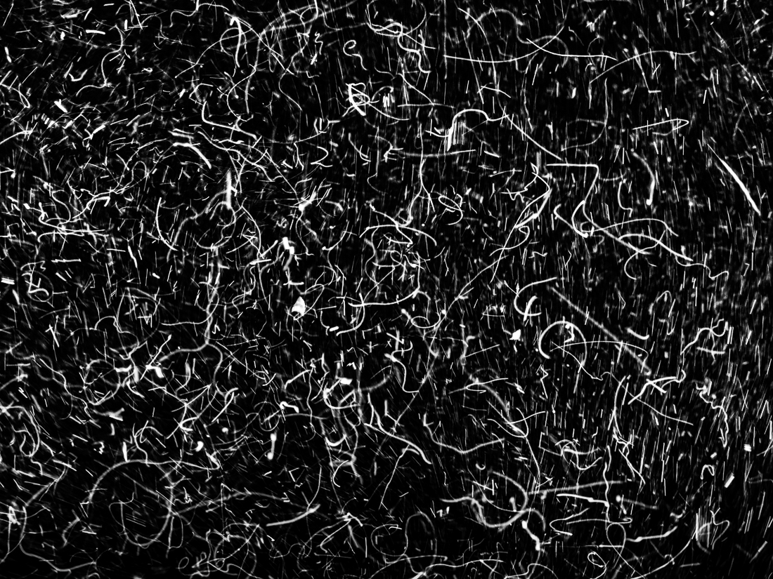 The Secret Code of Nature