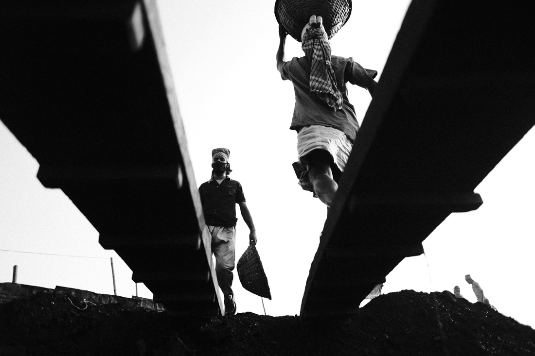 Coal 