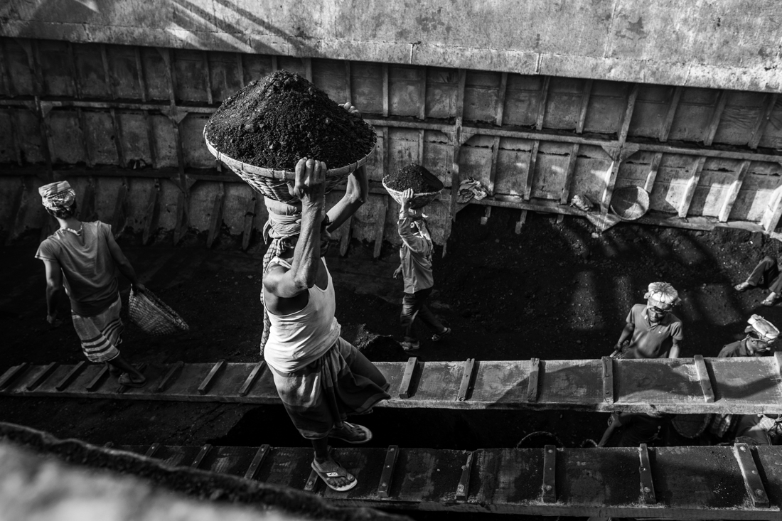 Coal 
