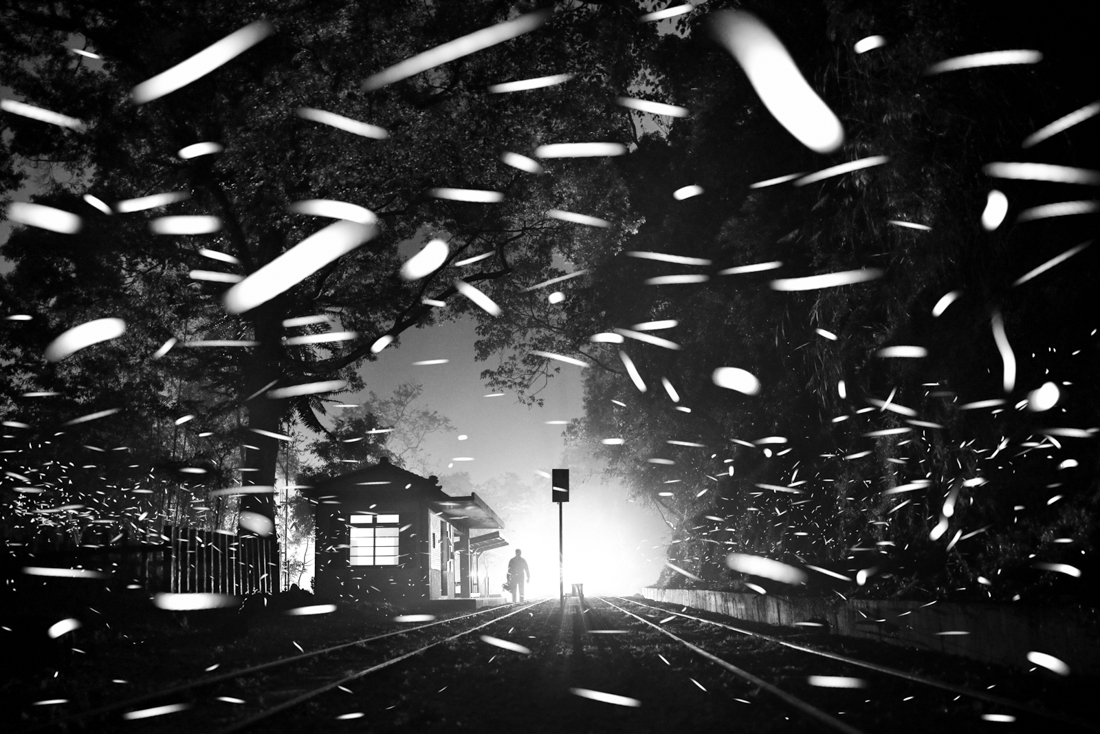 Fireflies flying